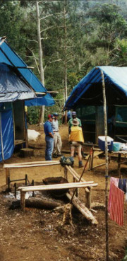 Camp Jungle